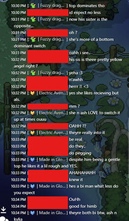 Sexual conversation w/ a minor #2 (PonyTown)